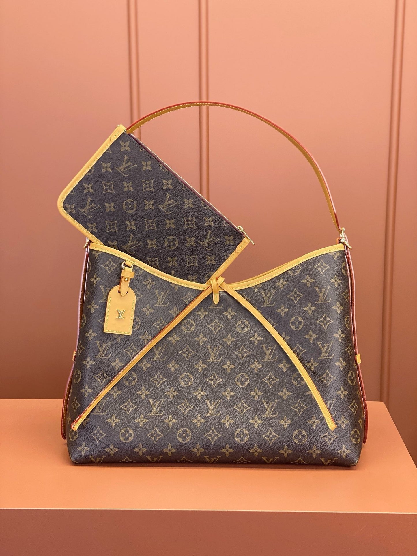 0528 CarryAll MM Monogram